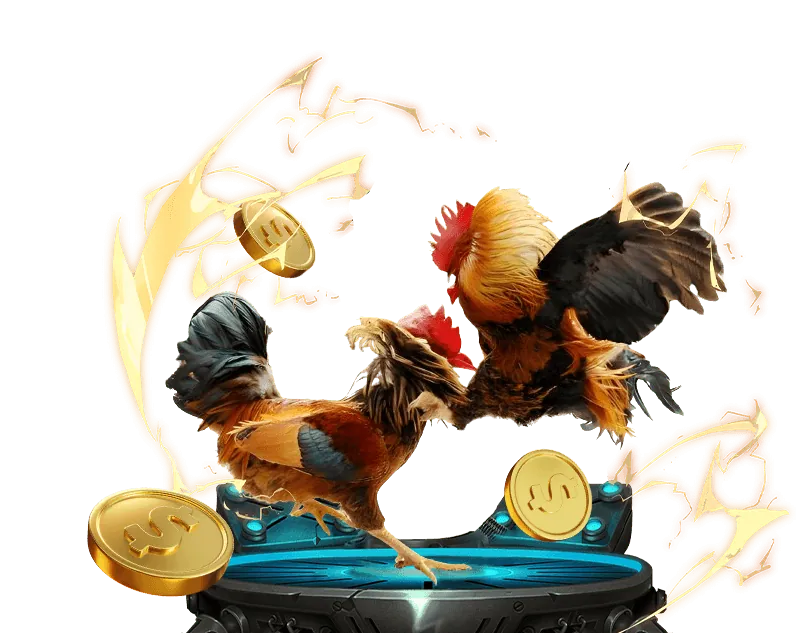 Các chương trình khuyến mãi Win55